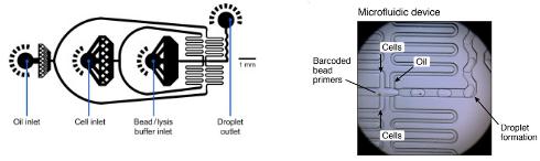 微流體設置,DROP-SEQ